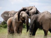 Celebrating the 10th Anniversary of our Sanctuary